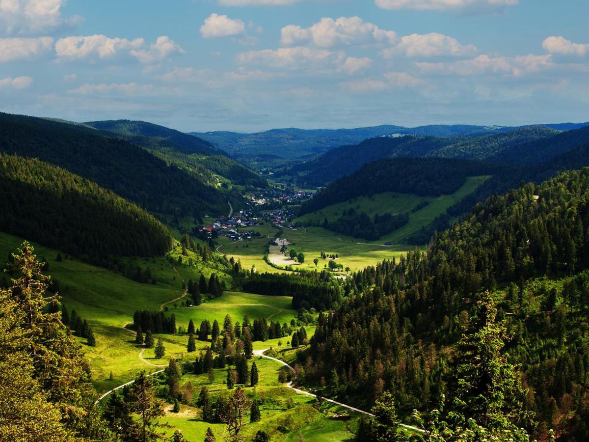 Black Forest Luxury Apartment Waldglueck Mit Sauna Konigsfeld im Schwarzwald Ngoại thất bức ảnh